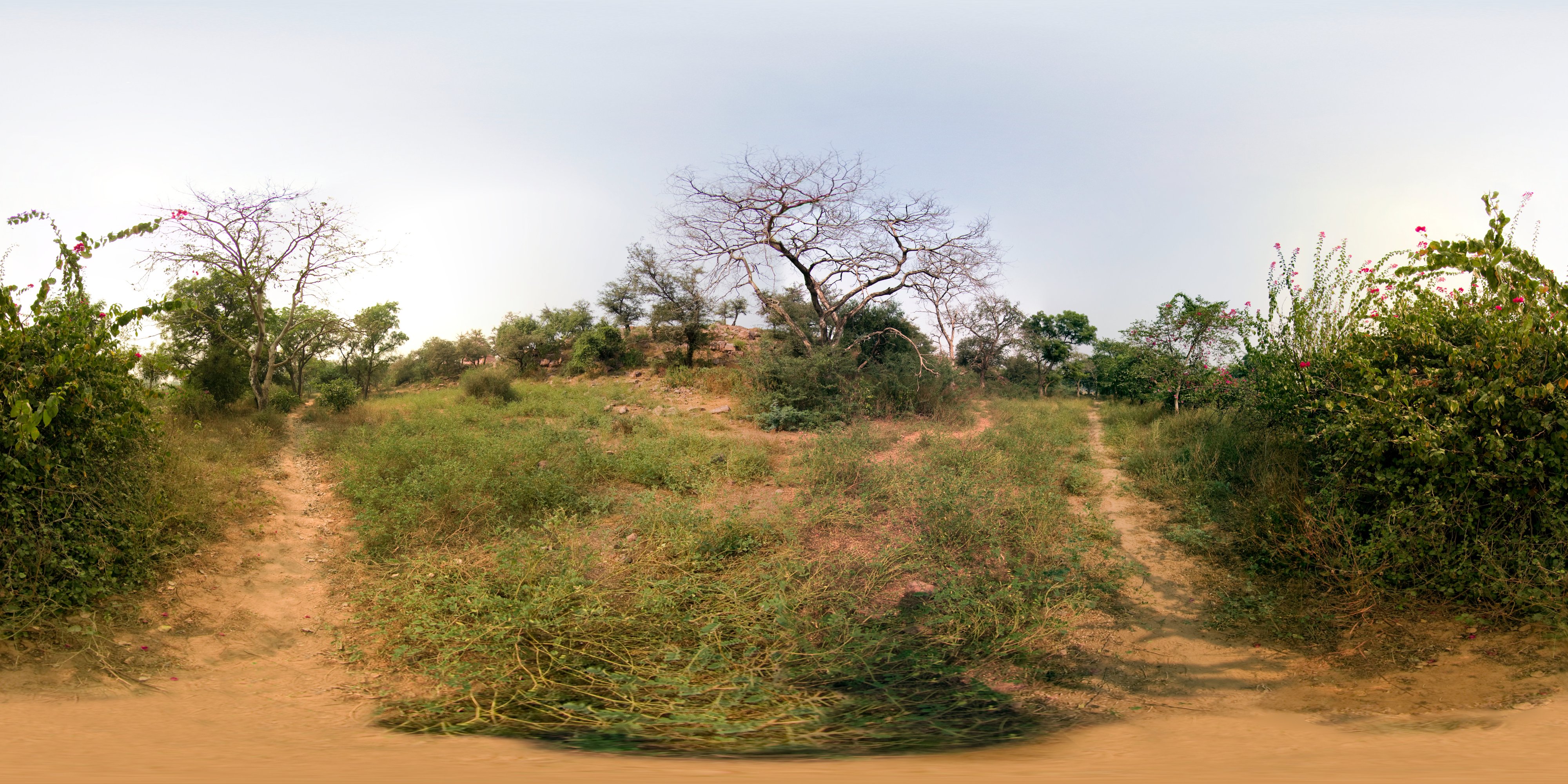 Sri Govardhan, menu background