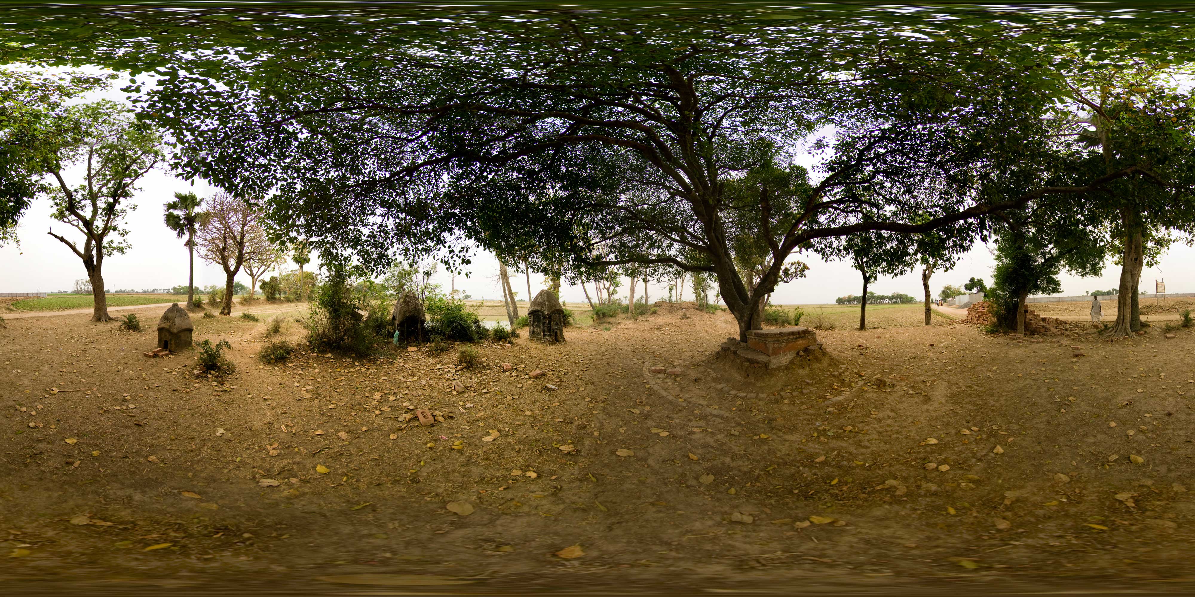 Sri Siddha Bakul &bull; 1